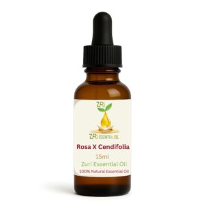 Rose Centifolia Oil (Rosa × centifolia)